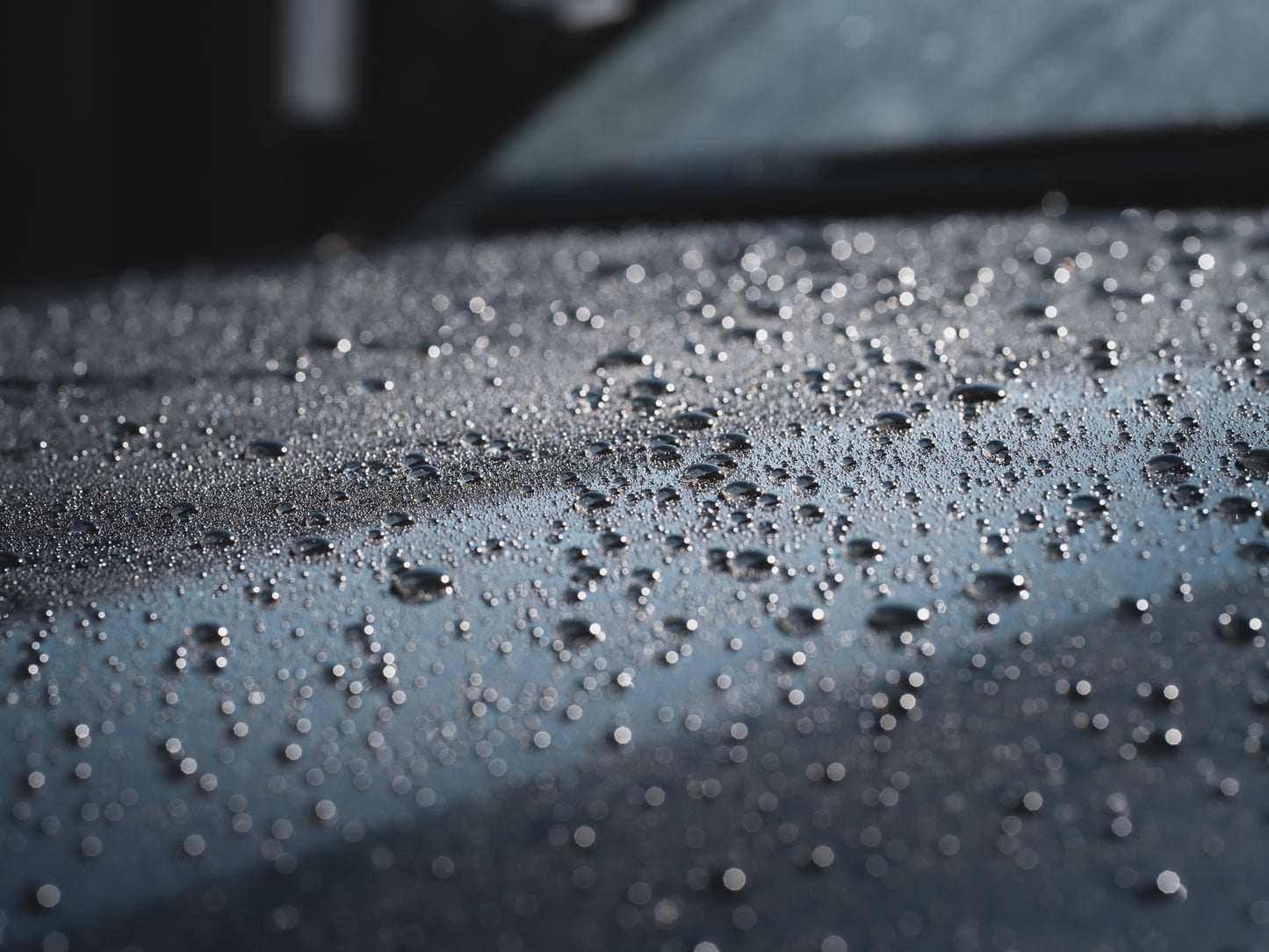 Ceramic Foam