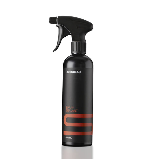 Spray Sealant